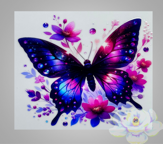 Butterfly 3