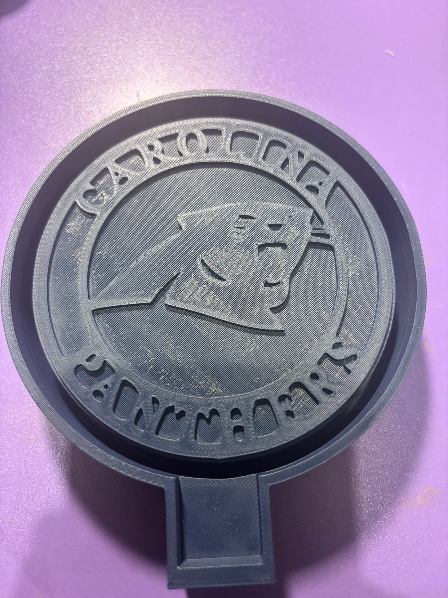 Carolina Panthers Freshie Mold