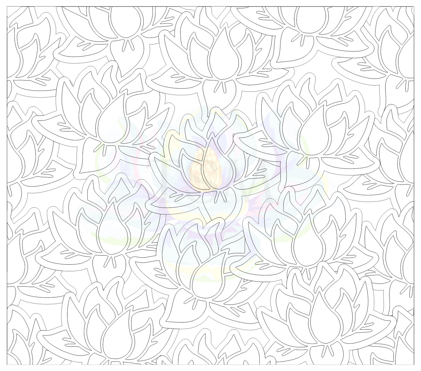 Lotus